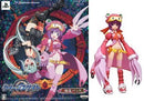 Software (Package Version) Psp