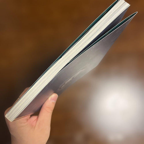Illustration Collections Fgo