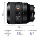 Others Fe F1.4 Gm [Sel50F14Gm]