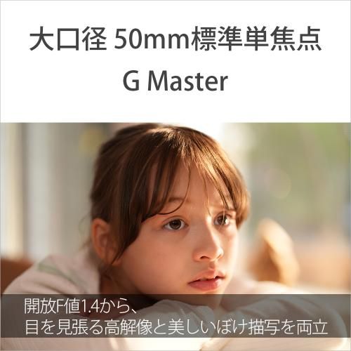 Others Fe F1.4 Gm [Sel50F14Gm]