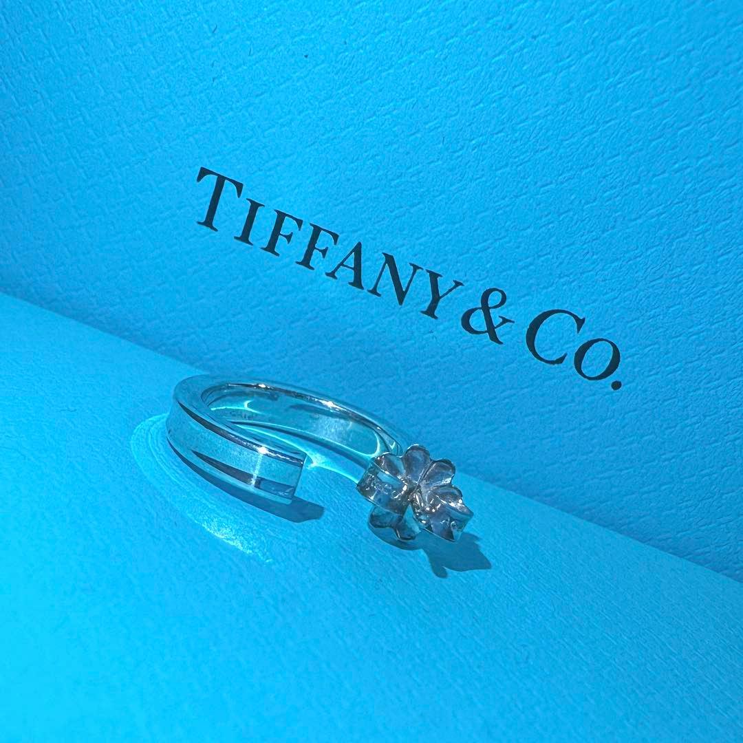 Tiffany Earrings (Single) 1837Tm