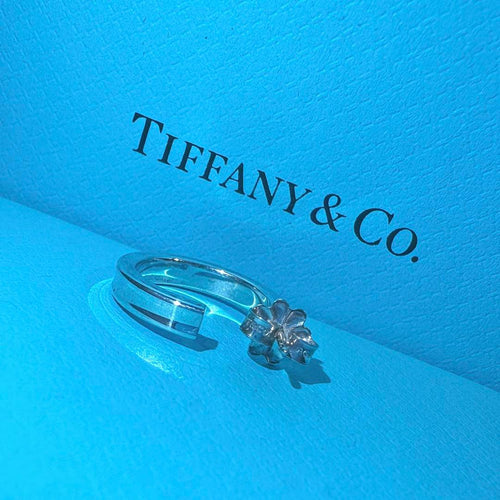 Tiffany Earrings (Single) 1837Tm