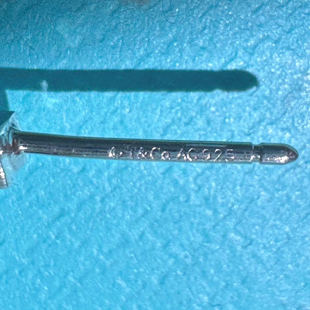 Tiffany Earrings (Single) 1837Tm