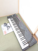 Roland Other Fantom 06