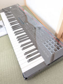Roland Other Fantom 06