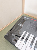 Roland Other Fantom 06