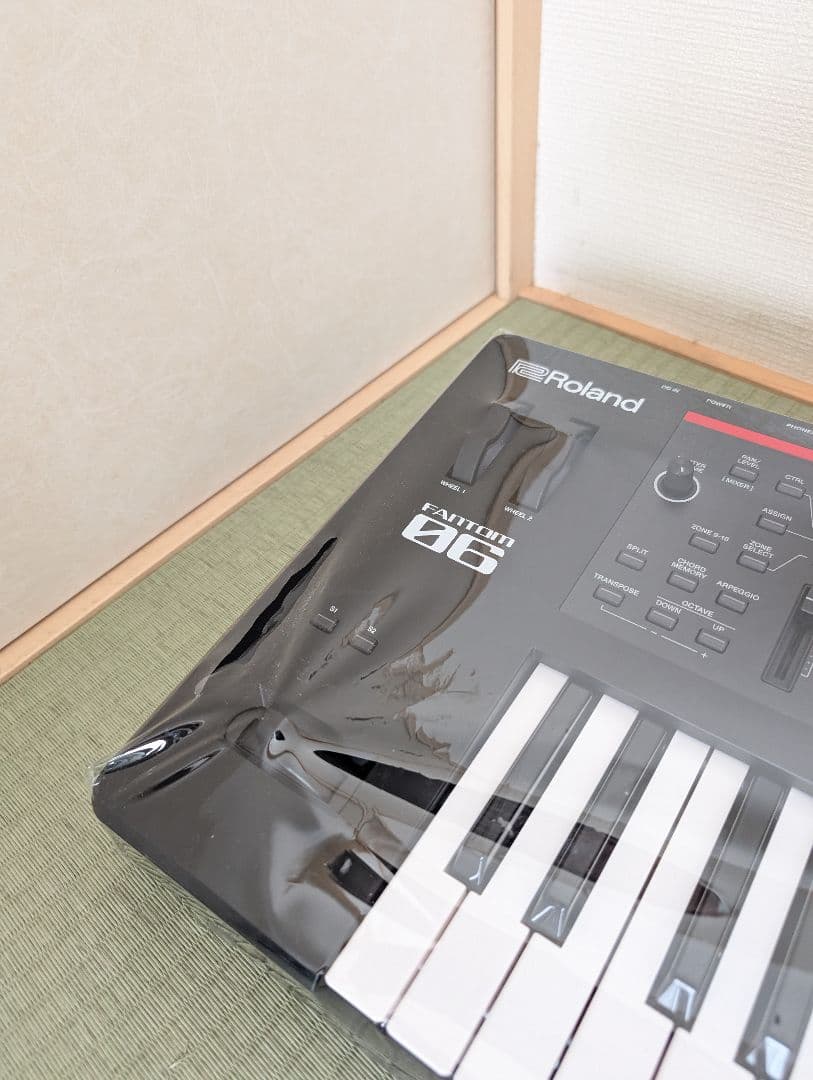 Roland Other Fantom 06