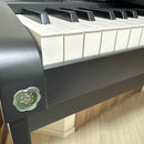 Korg Keyboard Electronic Piano B2 20