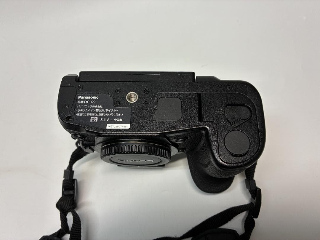 Panasonic Digital Camera Lumix G9 Pro Sony