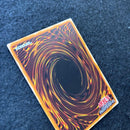 Yu -Gi -Oh! Ocg Duel Monsters 306-057