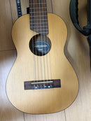 Acoustic Guitars Yamaha Gl-1