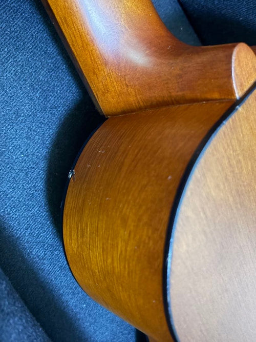 Acoustic Guitars Yamaha Gl-1