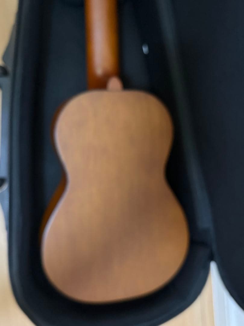 Acoustic Guitars Yamaha Gl-1