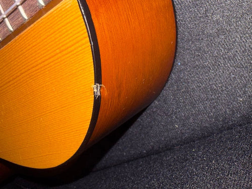 Acoustic Guitars Yamaha Gl-1
