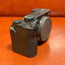 Sony Mirrorless Interchangeable Lips 7C