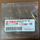 Carburetor Fuel Injection 250