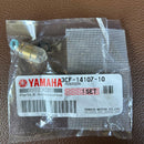 Carburetor Fuel Injection 250