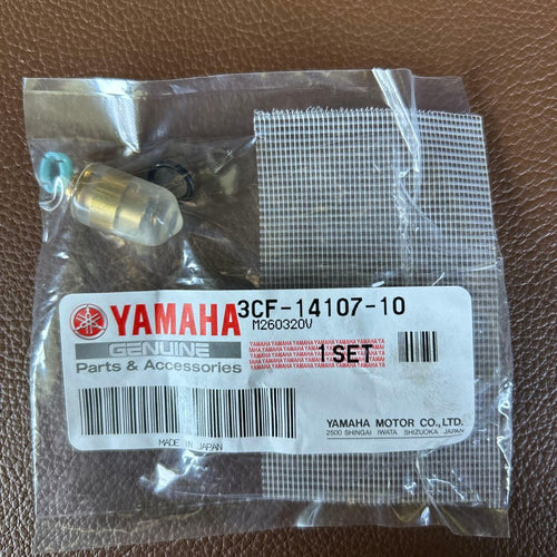 Carburetor Fuel Injection 250