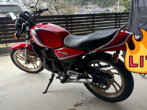 Yamaha Motorcycle Body Rz250