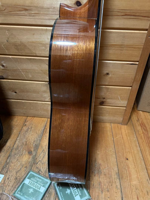 Yamaha Acoustic Guitars Cg131S