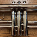 Yamaha Trumpets Ytr-1310