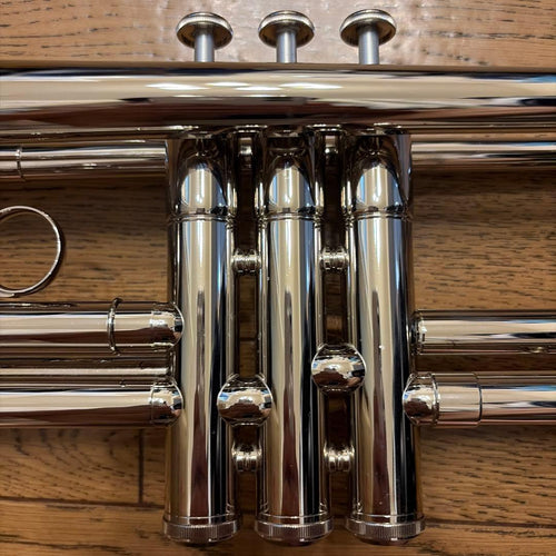 Yamaha Trumpets Ytr-1310