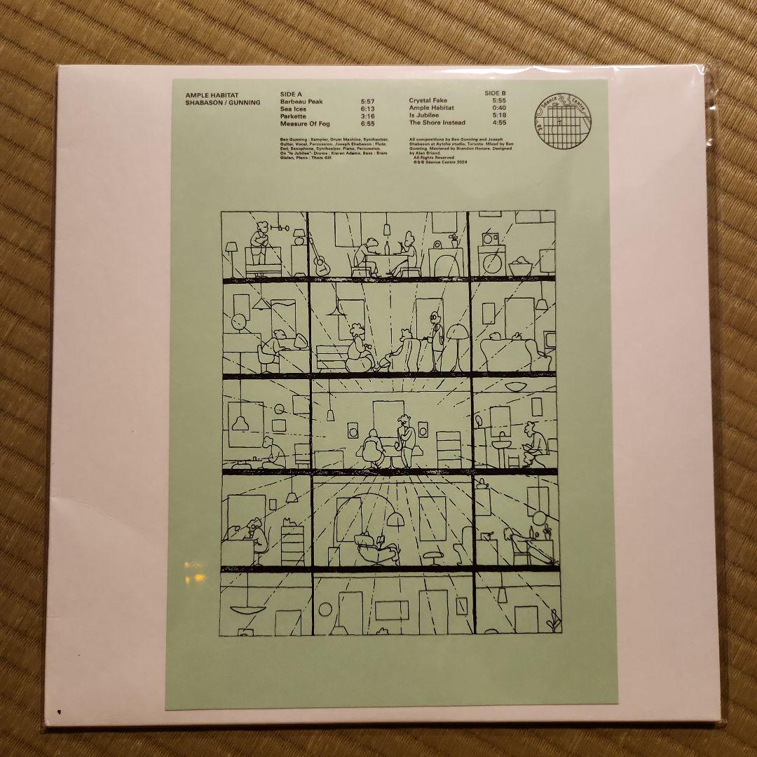 Overseas Music Shabason Gunning Ample Habitat Lp