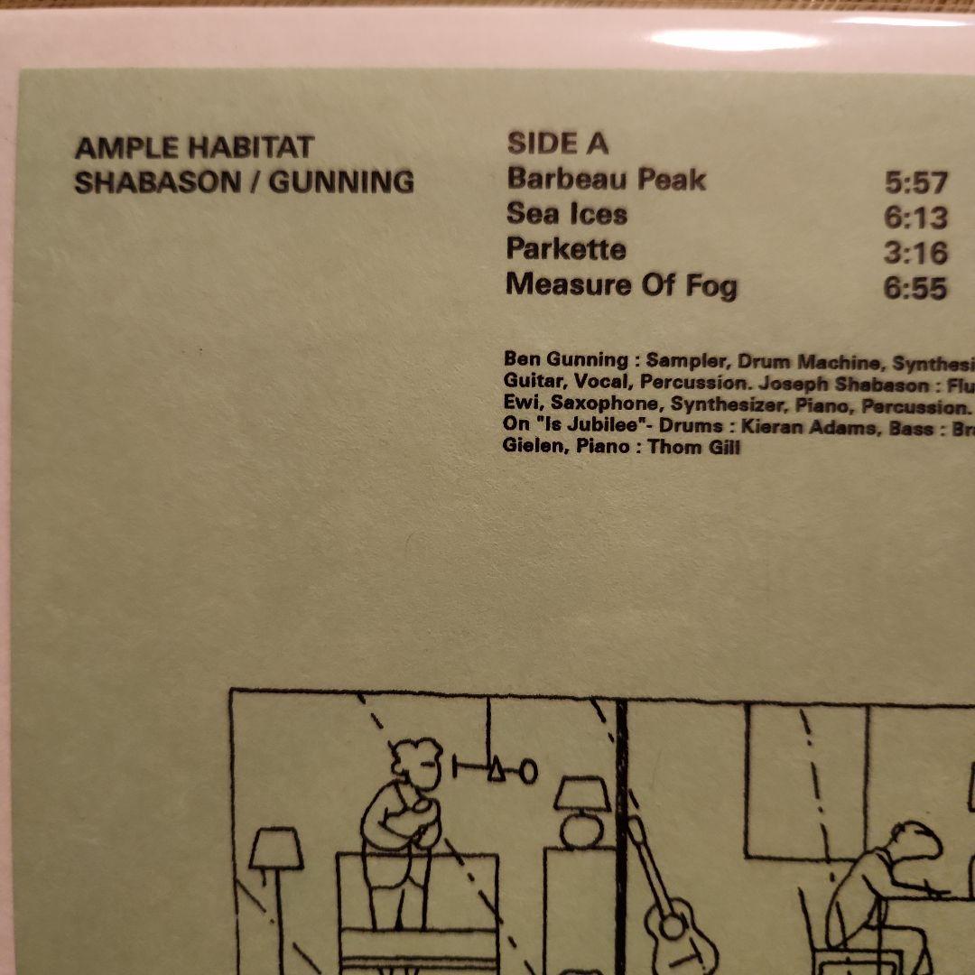Overseas Music Shabason Gunning Ample Habitat Lp