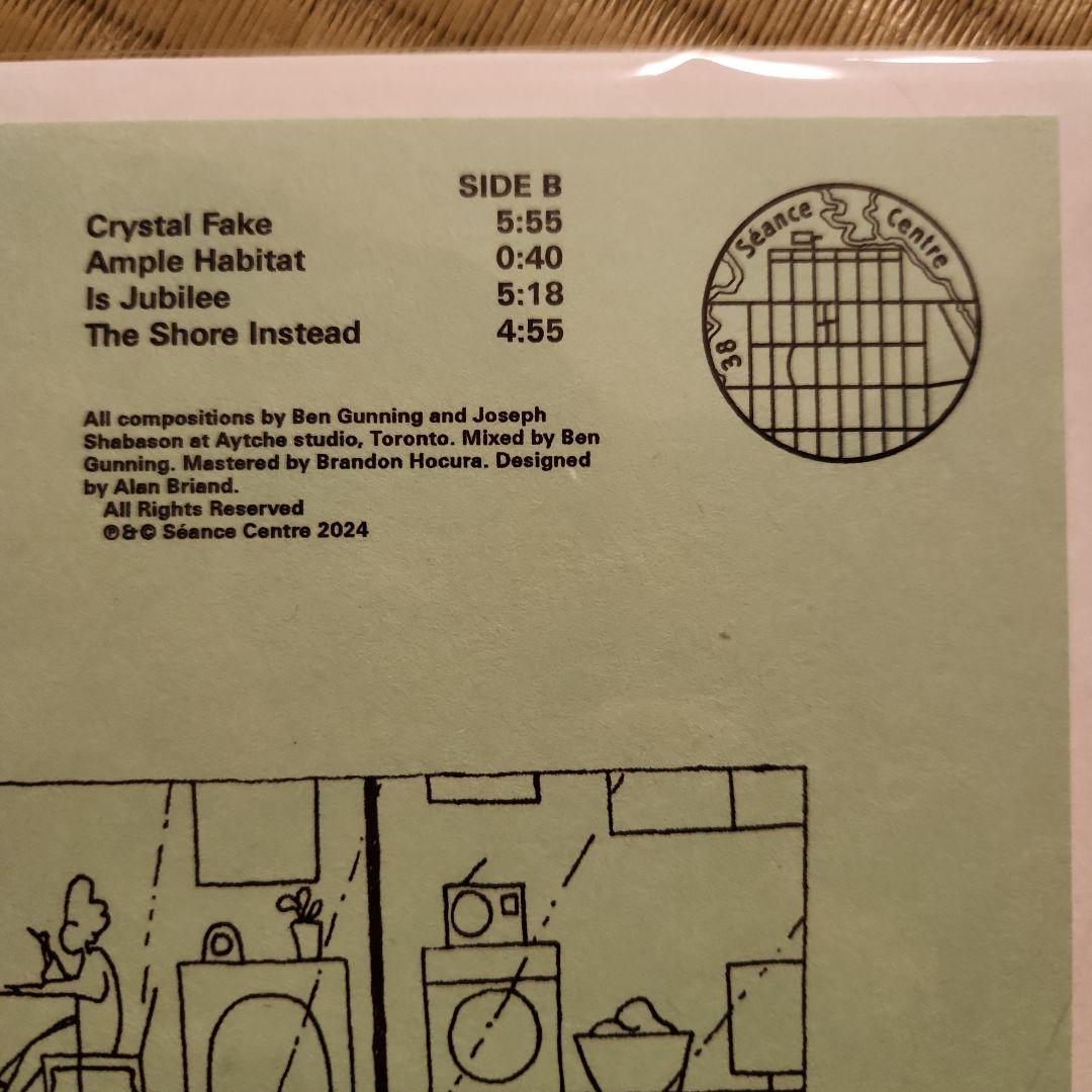 Overseas Music Shabason Gunning Ample Habitat Lp