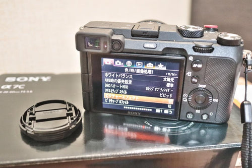 Sony Mirrorless Interchangeable Lens Cameras 6000 7C 2