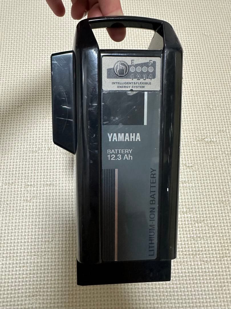Yamaha Motor Other 12.3Ah
