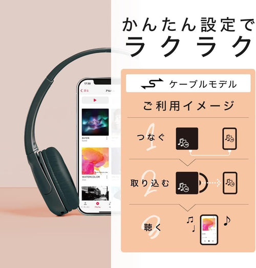 Others Iphone Cd