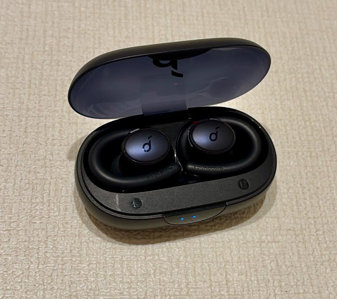 Sound Anchors Wireless Earphones Soundcore Sport X10