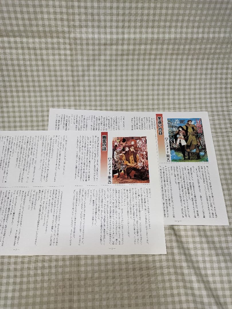 Literature Novels S 11