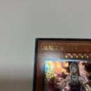 Yu-Gi-Oh! Ocg Duel Monsters (Japanese) Lv3 Lv7 2