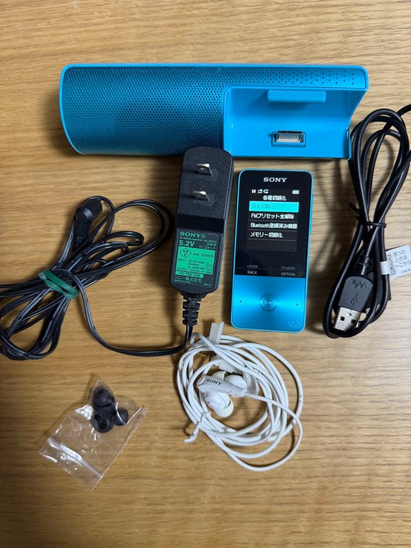 Sony Digital Audio Players Walkman Nw-S313K
