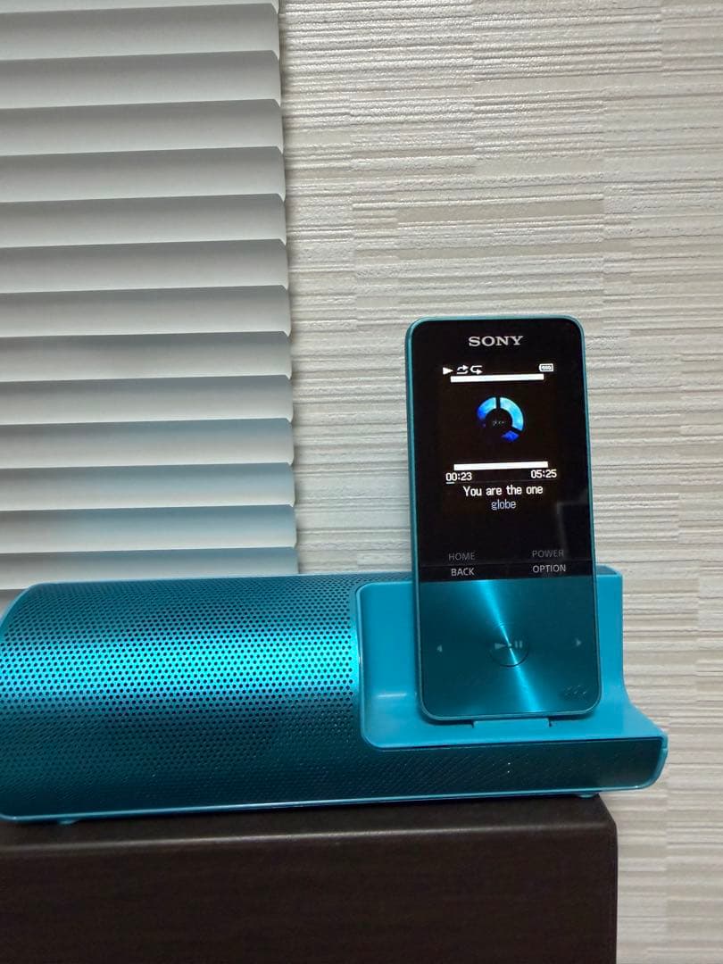 Sony Digital Audio Players Walkman Nw-S313K