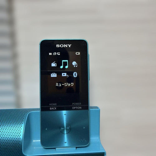 Sony Digital Audio Players Walkman Nw-S313K