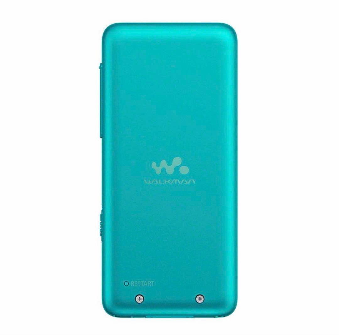 Sony Digital Audio Players Walkman Nw-S313K