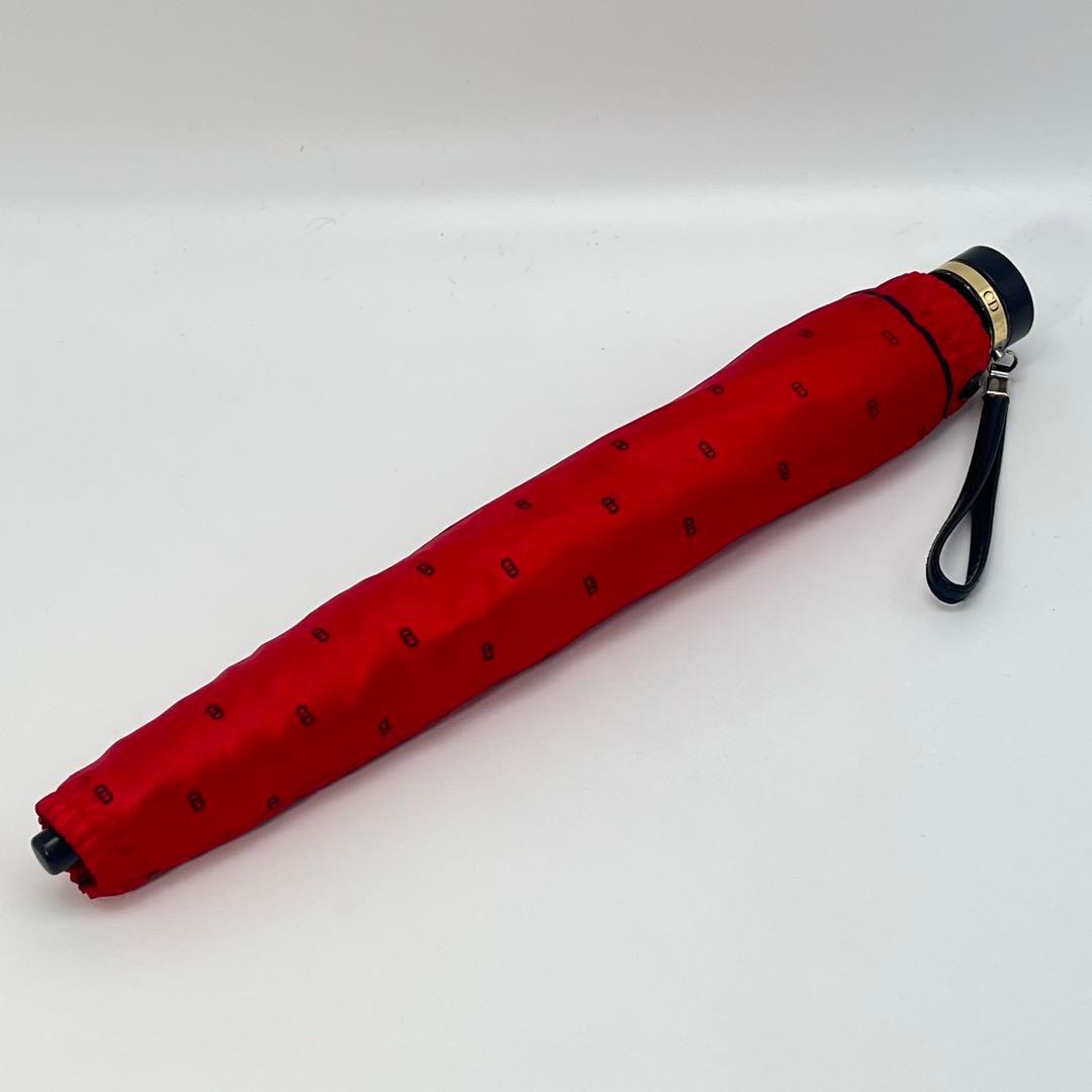 Christian Dior Rain Umbrellas Cd