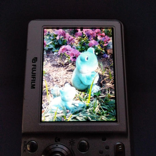 Fujifilm Compact Digital Camera Finepix F30