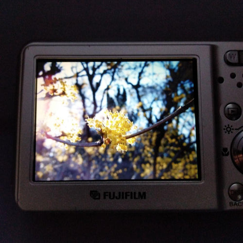 Fujifilm Compact Digital Camera Finepix F30