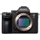 Mirrorless Interchangeable Lips Sony 7 Iii Ilce-7M3