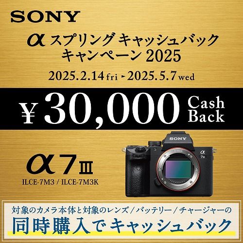 Mirrorless Interchangeable Lips Sony 7 Iii Ilce-7M3