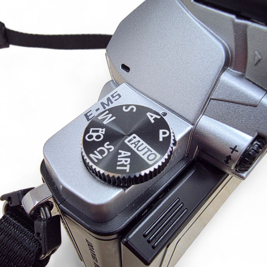 Olympus Mirrorless Interchangeable Lips Om-D E-M5