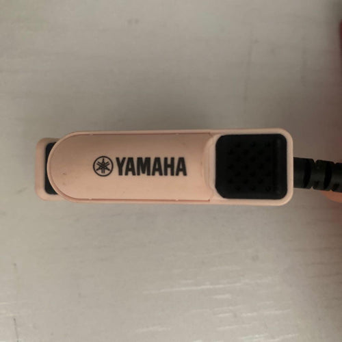 Yamaha Tuners Disney