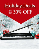 Korg Keyboards Digital Pianos Micropiano 61