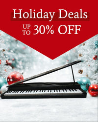Korg Keyboards Digital Pianos Micropiano 61