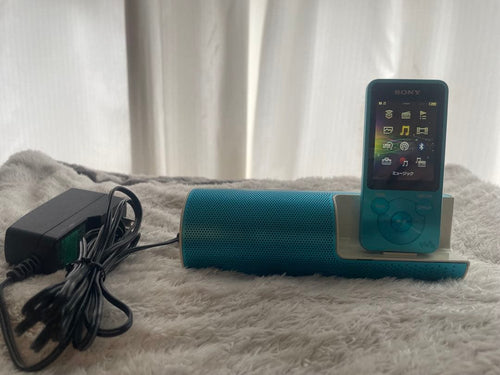 Sony Digital Audio Player Ac