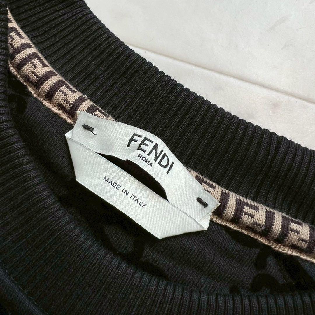 Fendi Trainer Sweatshirts Ff M